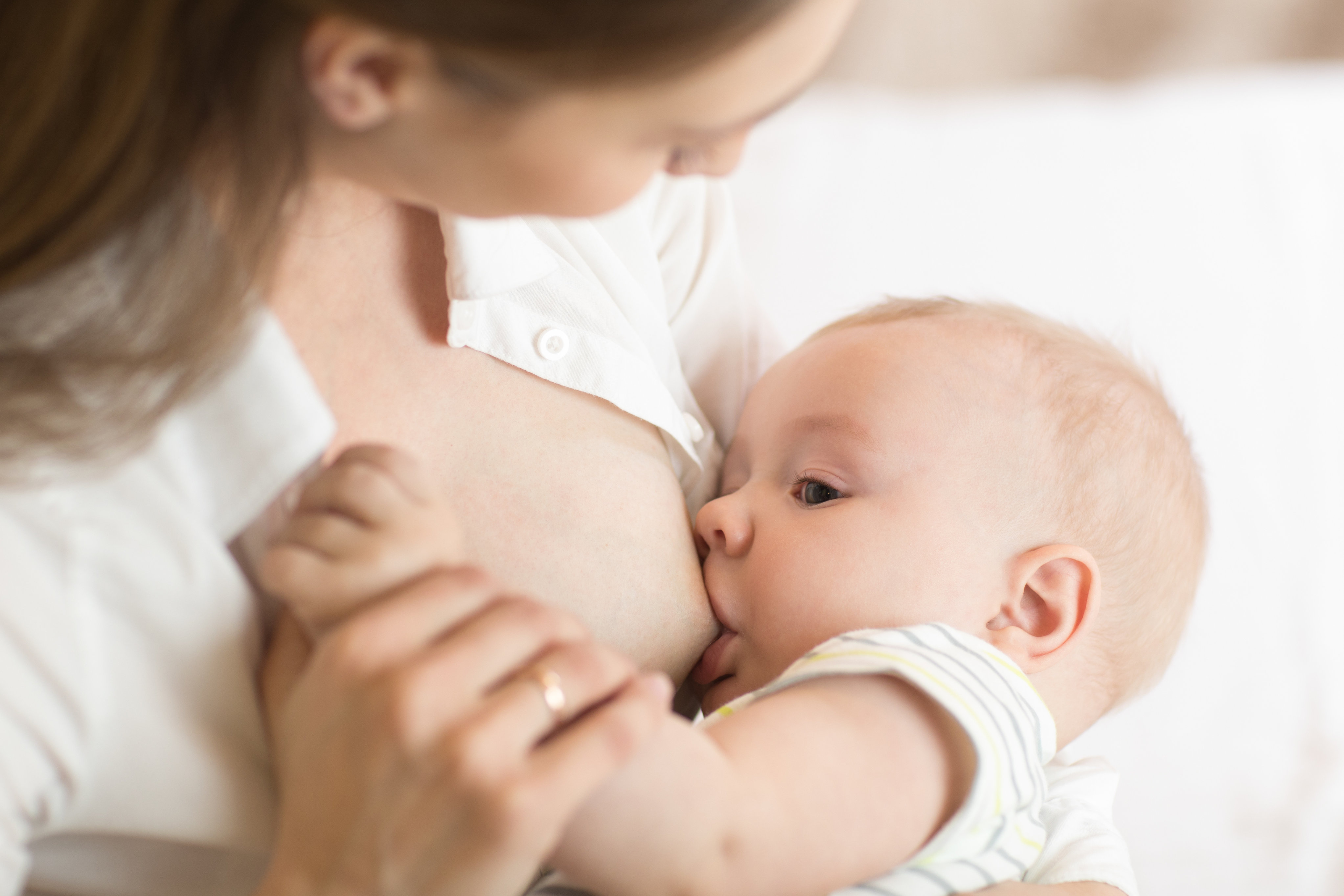 Alimentacion de mama lactante