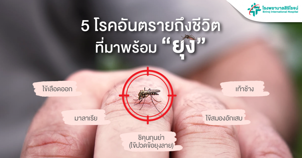 5 โรคอันตรายยุง